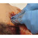TacMed Solutions Hemostatic Wound Trainer (HEMO)